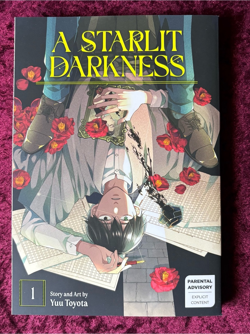 A Starlit Darkness Vol. 1 Manga